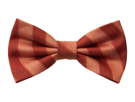 AI generated Isolated bow tie png file