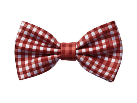 AI generated Isolated bow tie png file