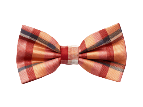 AI generated Isolated bow tie png file