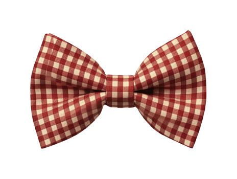 AI generated Isolated bow tie png file