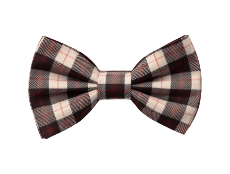 AI generated Isolated bow tie png file