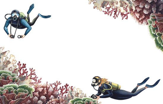 Coral frame with diver and marine life. Undersea world. Watercolor hand drawn. Aquarium, tropical, reef. Concept for label, business card and banner, postcard and flyer, brochure template. png