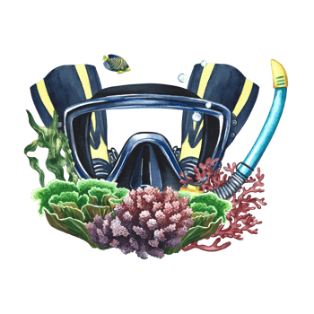 Diver's equipment. Diver's mask with fins, snorkel and corals. Hand-drawn in watercolor. Underwater journey. For the design of labels, postcards and banners, leaflets and brochure. For print, sticker png