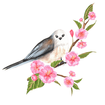 Hand-drawn watercolor illustration. Long-tailed titmouse bird sitting on the branch of sakura with pink flowers and leaves png