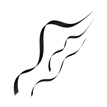 Black Ribbon Shape png