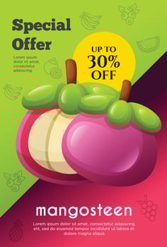 Flyer special offer for mangosteen fruit product. Fruit promotion flyer vector
