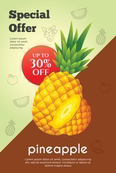 Flyer special offer for pineapple fruit product. Fruit promotion flyer vector