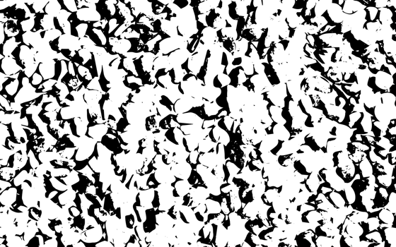 Rustic grunge texture with grain and stains. Abstract noise background. PNG graphic illustration with transparent background.