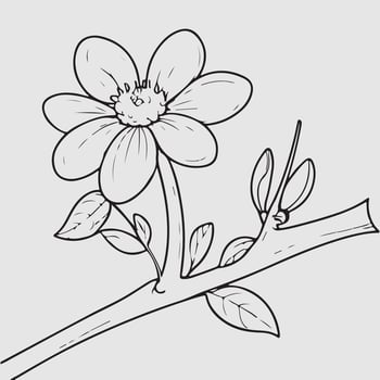simple drawing lines of a realistic flower perched on branch flower vector