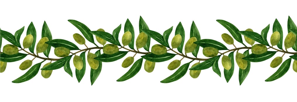 Olives seamless brush, border with olive branches and fruits for Italian cuisine design vector