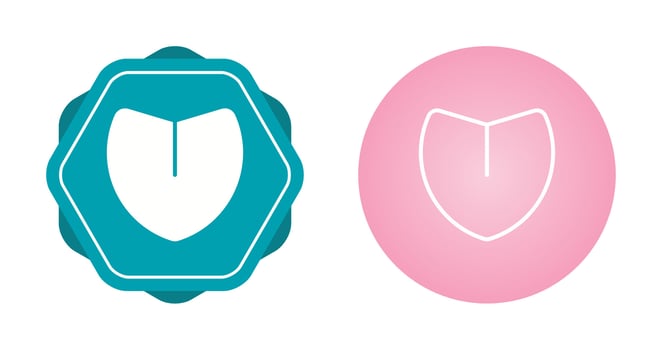 Shield Vector Icon