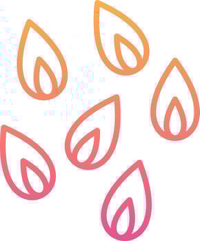 Flower Petals Vector Icon