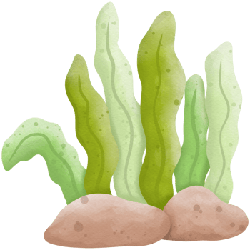 Coral undersea watercolor so cute png