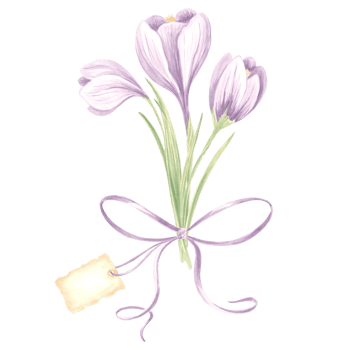 Watercolor bouquet of purple crocus flowers with bow and tag. Isolated hand drawn illustration of spring saffron blossom. Template for card, packaging and tableware, textiles and stickers, embroidery. png