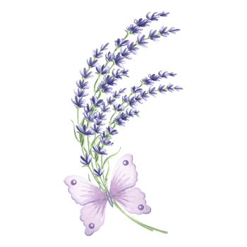 Sprig of lavender flowers with violet butterfly, watercolor illustration. Isolated hand drawn provance floral bouquet. Vintage botanical drawing template for cards, tableware and textile, embroidery. png