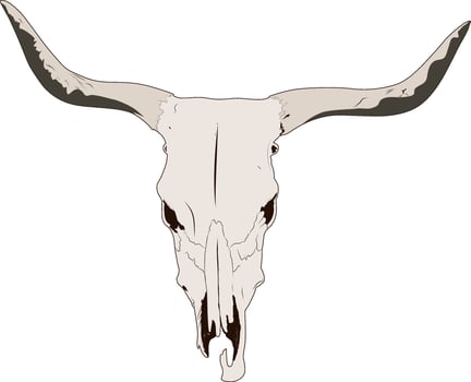 Buffalo Bison Native American Skull Tattoo Tribal Style vector