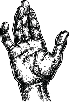AI generated hand gesture in old engraving style for drawing reference vector