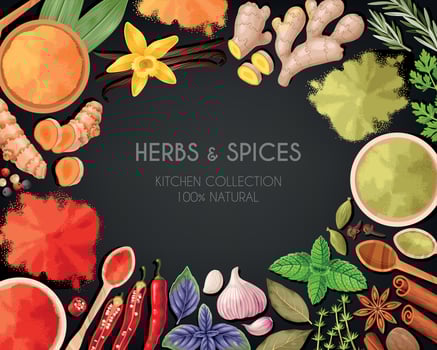 Vector card with high detailed spices and herbs