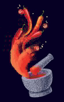 Red Chilli vegetable with red chilli powder vector