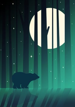 Silhouette of bear standing in night forest. Magical misty landscape, grizzly hunting. vector