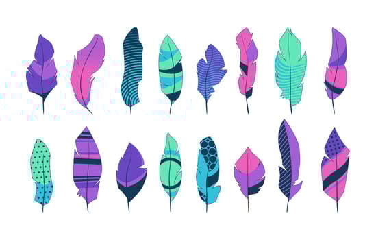 Tribal feathers. Ornamental ethnic indian plume icons, stylized decorative hippie birds quill silhouettes creative boho style. Vector isolated set