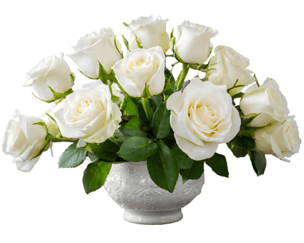 Blooming bridal bouquet white rose flowers in ceramic vase png