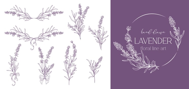 Lavender Line Drawing. Black and white Floral Bouquets. Flower Coloring Page. Floral Line Art. Fine Line Lavender illustration. Hand Drawn flowers. Botanical Coloring. Wedding invitation flowers vector