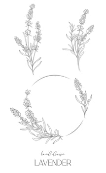 Lavender Line Drawing. Black and white Floral Frames. Floral Line Art. Fine Line Lavender illustration. Hand Drawn Outline flowers. Botanical Coloring Page. Wedding invitation flowers vector