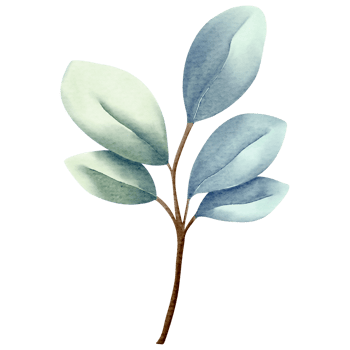 Watercolor plant. Blue color. Delicate watercolor botanical element for wedding invitations, save the date, thank you, greeting card, poster. Leaves elements. png