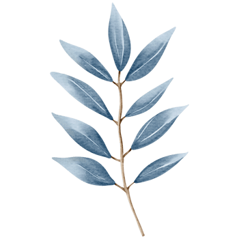 Watercolor plant. Blue color. Delicate watercolor botanical element for wedding invitations, save the date, thank you, greeting card, poster. Leaves elements. png