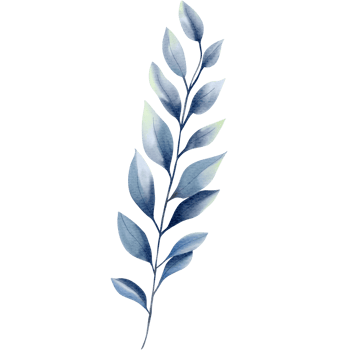 Watercolor plant. Blue color. Delicate watercolor botanical element for wedding invitations, save the date, thank you, greeting card, poster. Leaves elements. png