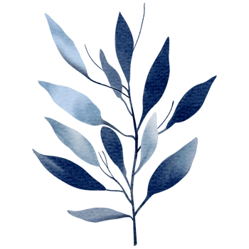 Watercolor plant. Blue color. Delicate watercolor botanical element for wedding invitations, save the date, thank you, greeting card, poster. Leaves elements. png