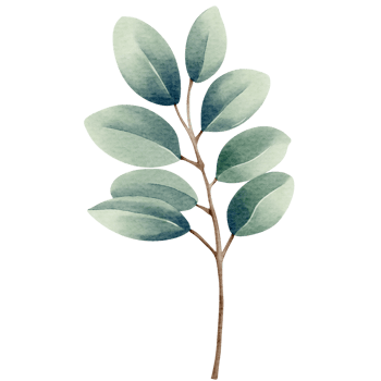 Watercolor plant. Blue color. Delicate watercolor botanical element for wedding invitations, save the date, thank you, greeting card, poster. Leaves elements. png