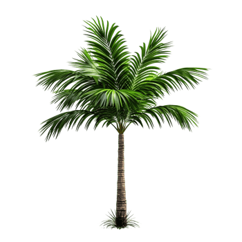 AI generated Green palm tree clip art png
