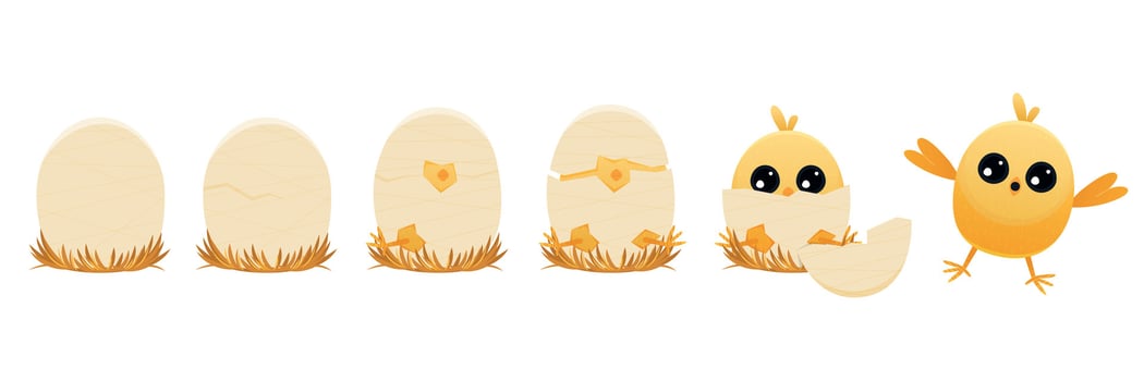 Chicken hatching stages. Cartoon winged chick emerging from egg, domestic farm animal with feathers, summer newborn chicks. Vector flat illustration