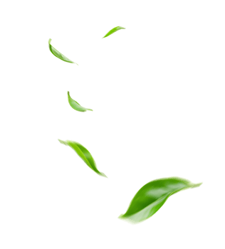 Green Floating Leaves Flying Leaves Green Leaf Dancing on transparent background png file