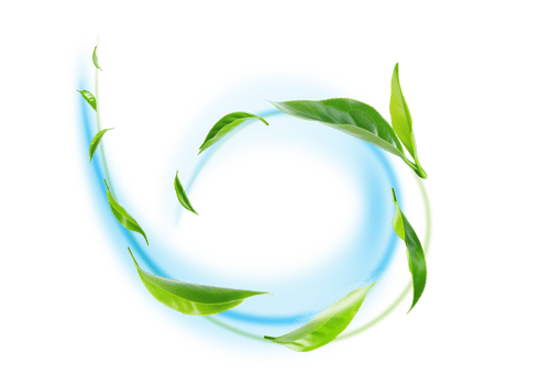 Green Floating Leaves Flying Leaves Green Leaf Dancing on transparent background png file