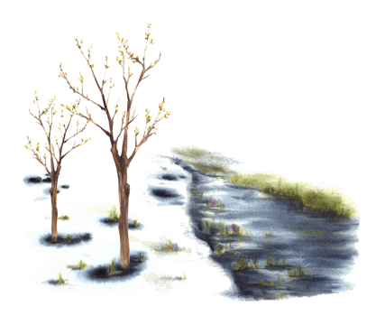 Watercolor spring landscape. Primary plants flowers, early buds and leaves on the trees, the first grass breaking through the snow, running stream. Hand painted clipart png