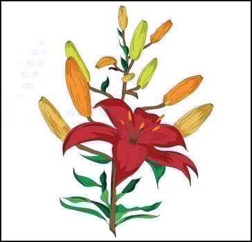 simple Color Flower vector