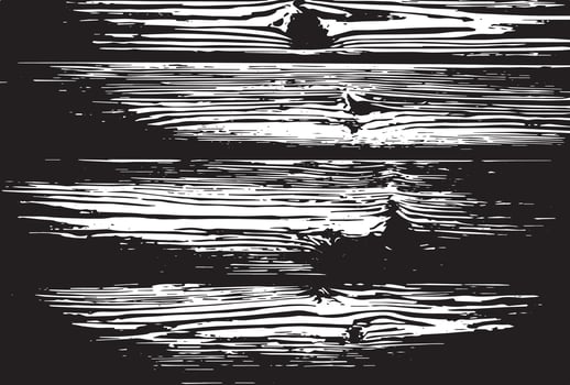 Wood Texture and wood Background vector