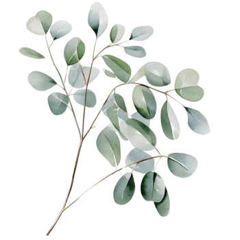 AI generated Eucalyptus leaf wedding png