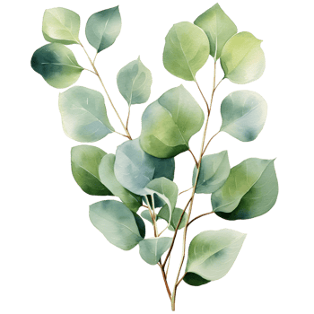 AI generated Eucalyptus leaf wedding png