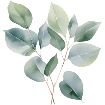 AI generated Eucalyptus leaf wedding png