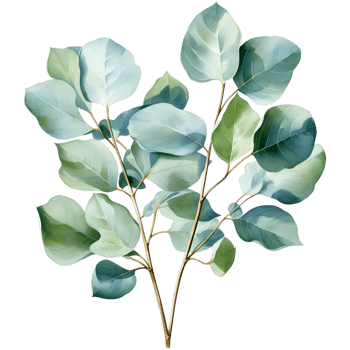 AI generated Eucalyptus leaf wedding png