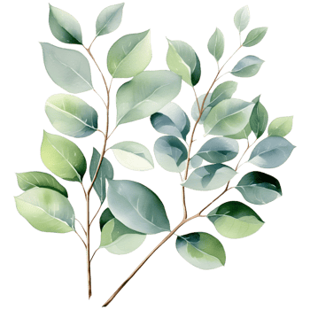 AI generated Eucalyptus leaf wedding png