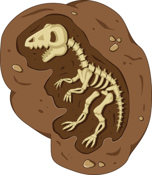 Dinosaur fossil skeleton in the soil, archeological excavation cartoon style vector