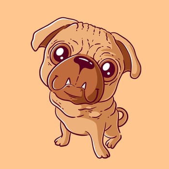 Adorable pug puppy, vector illustration