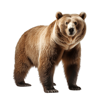 AI generated Bear clip art png