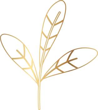 Tree plant leaves yellow decoration design. png