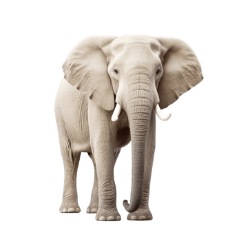 AI generated Elephant clip art png